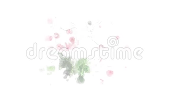 绘制树莓及其部分的动画视频的预览图