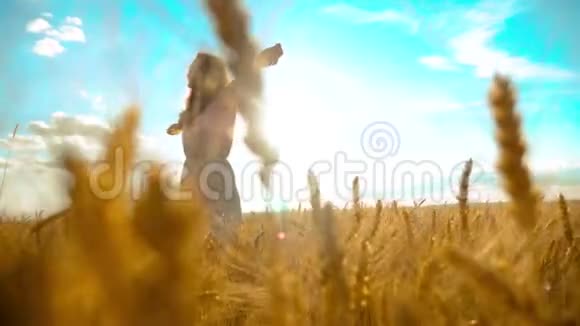 美女户外欣赏大自然麦田慢动作视频美丽的女孩穿着白色的裙子奔跑着大自然的自由视频的预览图