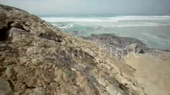 海水与藻类和岩石视频的预览图
