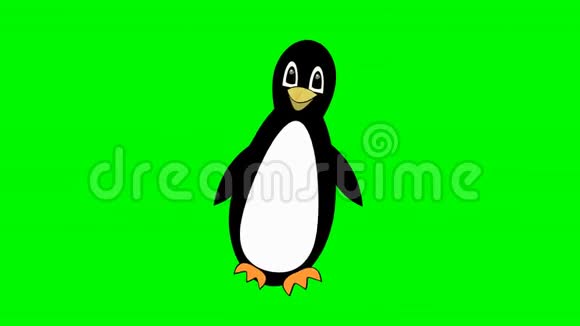 企鹅走在绿色的屏幕上可爱的吉祥物鸟的卡通孤立美丽的护身符视频的预览图