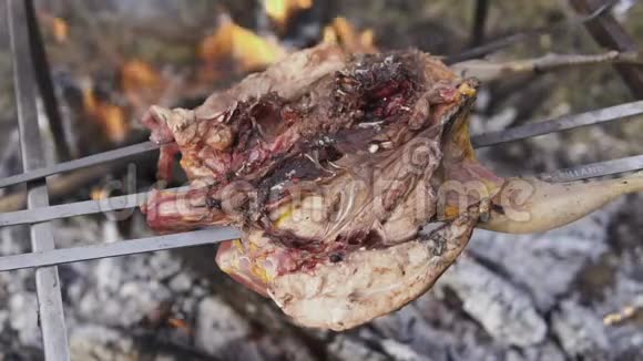 家禽准备狩猎主题在篝火上用燃烧的煤和铁串烹煮整个雉鸡的身体视频的预览图