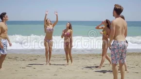一群在海滩上玩得开心的年轻朋友视频的预览图