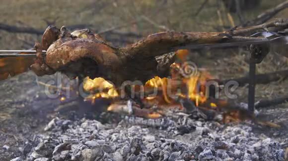 家禽准备狩猎主题在篝火上用燃烧的煤和铁串烹煮整个雉鸡的身体视频的预览图