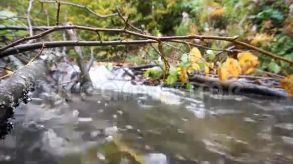 清澈的河水视频的预览图
