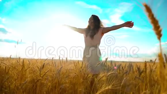 美女户外欣赏大自然麦田慢动作视频美丽的女孩穿着白色的裙子奔跑着大自然的自由视频的预览图
