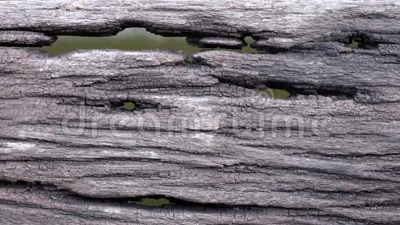 有洞和水背景的旧木地板视频的预览图