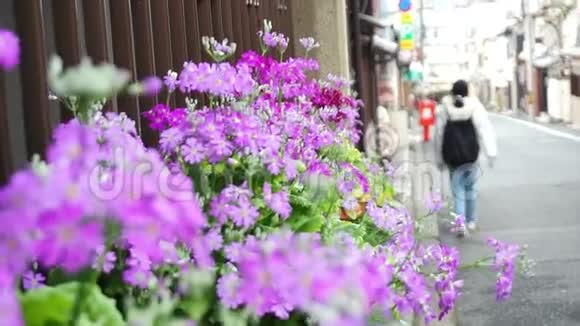 游客在街边走着紫色的花视频的预览图