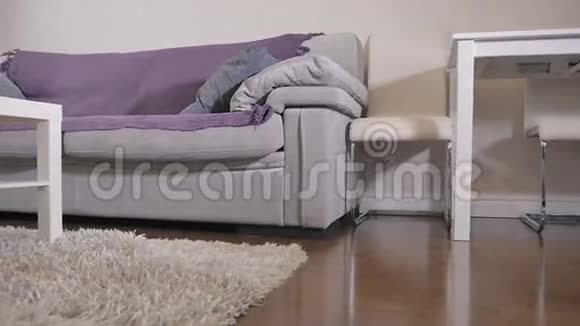 带舒适沙发的舒适客厅视频的预览图