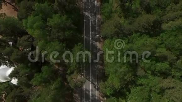 4k空中景观与森林道路视频的预览图