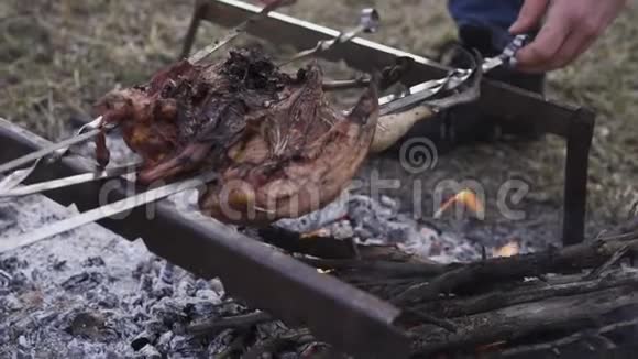 家禽准备狩猎主题在篝火上用燃烧的煤烧烤着整个雉鸡的身体视频的预览图
