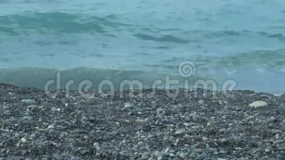 卵石滩和小浪视频的预览图