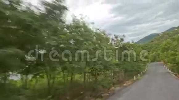 热带树间沥青路的摄像机移动视频的预览图