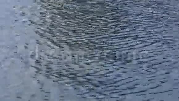 池水荡漾视频的预览图