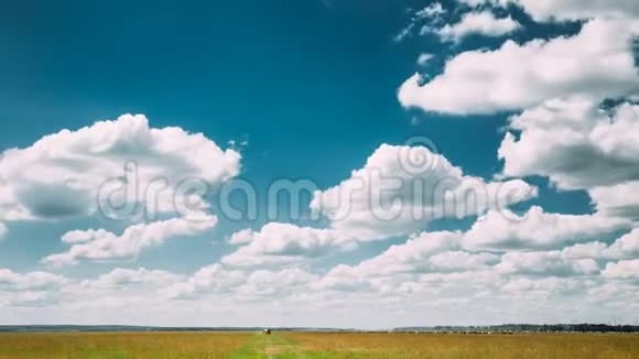 夏季乡村田园草甸景观在风景秀丽的天空下随着蓬松的云彩而消逝视频的预览图