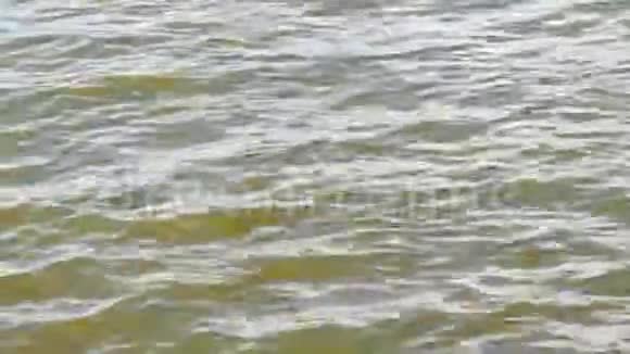 水面上的波浪视频的预览图