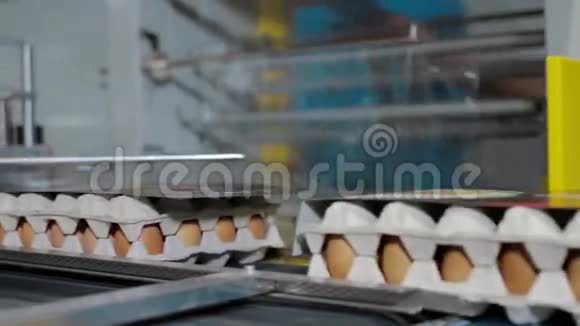 鸡蛋上包装线鸡蛋生产视频的预览图