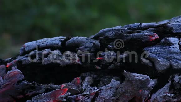 美丽的原木在火中燃烧视频的预览图