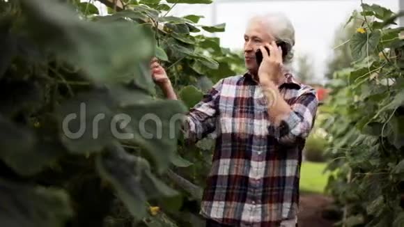 在农场温室里打电话给智能手机的老妇人视频的预览图