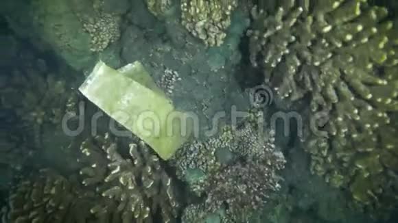 海洋中的塑料海洋废弃物视频的预览图
