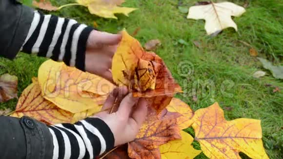 手做装饰花美丽秋树叶视频的预览图