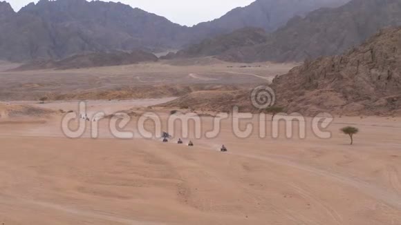 一列四方自行车骑在沙漠中的埃及山脉背景驾驶ATV视频的预览图