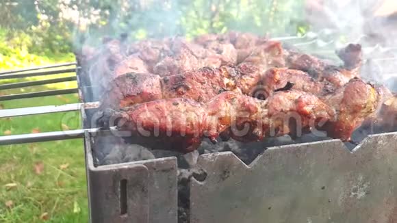 肉在夏天野餐时炒视频的预览图