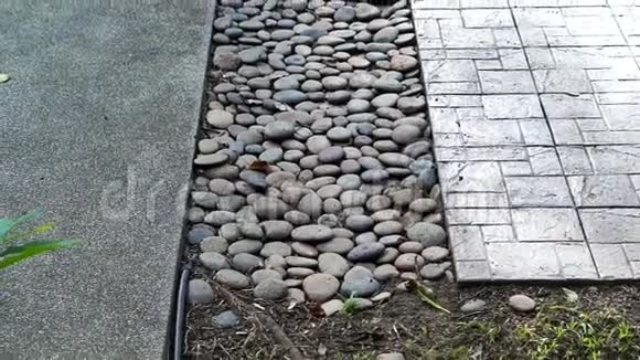 视频花园路径材料卵石混凝土和盖有草的水泥视频的预览图