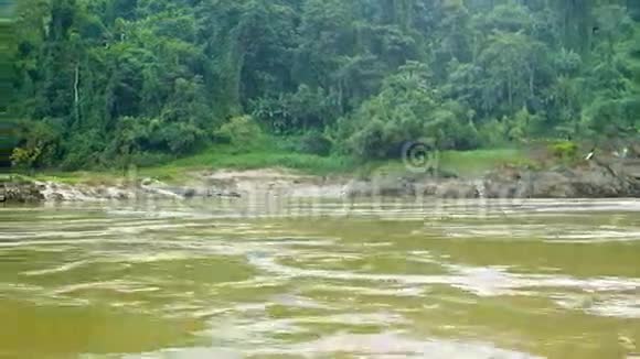 河流的热带海岸从船上看湄公河老挝视频的预览图