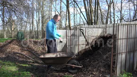 园艺工人与沥青叉挖掘堆肥腐殖质到手推车4K视频的预览图