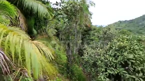 玛伊山谷自然保护区地形图视频的预览图