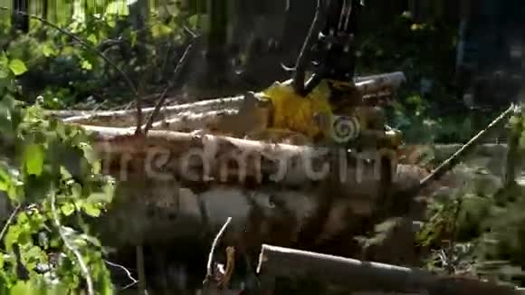 机械臂在森林中装载树干视频的预览图