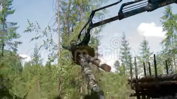 机械手臂FellerBun装载树干视频的预览图
