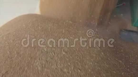 小麦从卡车卸到仓库的慢速运动框架小麦在仓库装载的慢速运动框架视频的预览图