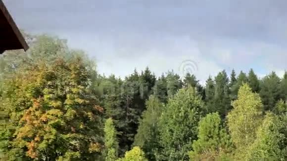 大而棕色的木质柏油色的屋顶房子周围环绕着美丽的树木视频的预览图