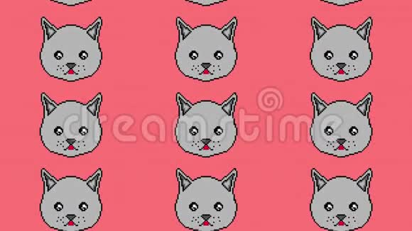 像素猫用眼睛移动在红色背景上显示舌头准备在任何项目中使用视频的预览图