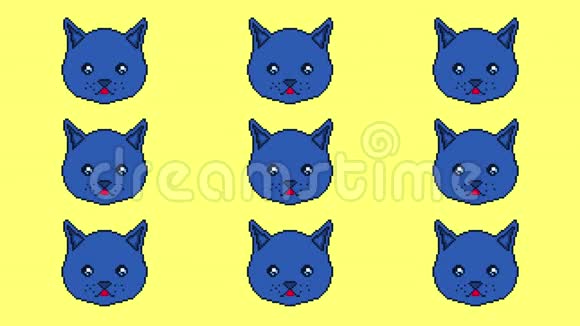 像素猫用眼睛移动在黄色背景上显示舌头准备在任何项目中使用视频的预览图