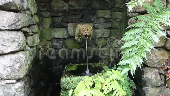 马德拉热带花园喷泉雕塑视频的预览图