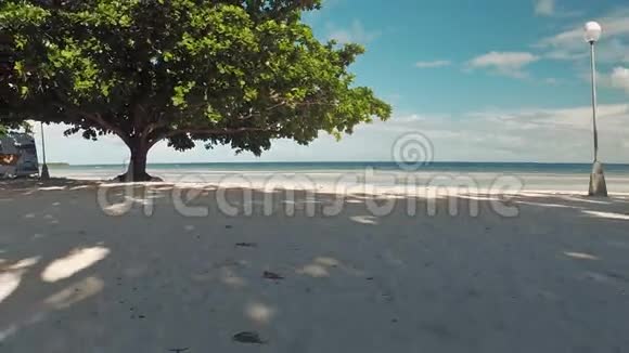 沙滩上有白色的沙子和一棵树空中观景菲律宾视频的预览图