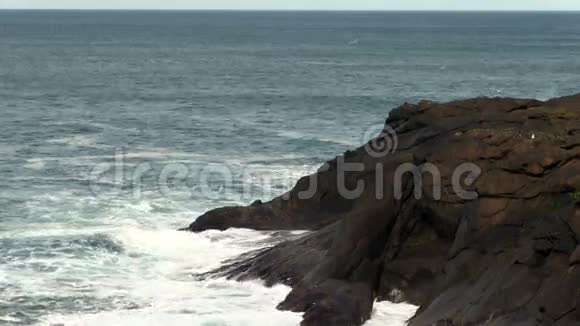 海浪拍打岩岸和海鸥飞翔视频的预览图