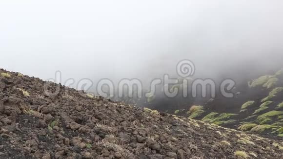 意大利西西里埃特纳火山的生动火山景观视频的预览图