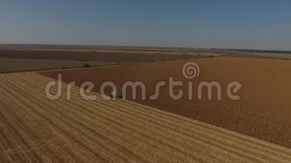 空中无人驾驶飞机在巨大的农田上的视野在作物时期的卡车视频的预览图