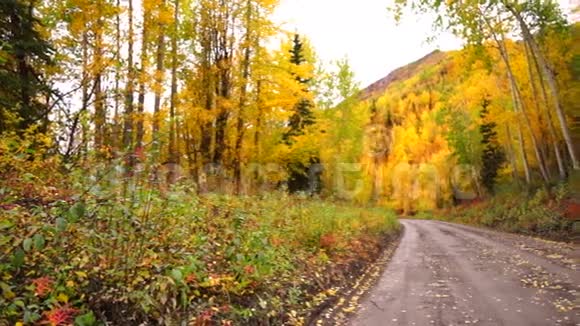 原始碎石路引秋落叶阿拉斯加视频的预览图