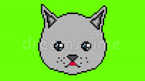 像素猫用眼睛移动在绿色屏幕上显示舌头准备在任何项目中使用视频的预览图