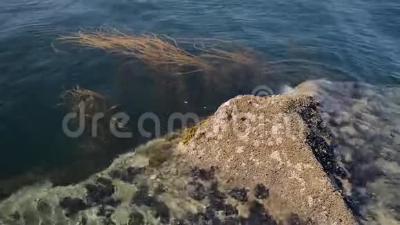 海水冲刷的岩石特写视频的预览图