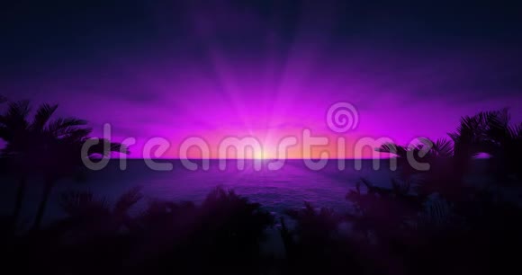 紫色的天空日落阳光灿烂环绕着热带棕榈滩视频的预览图