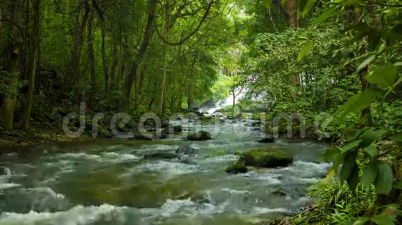 森林泰国清莱附近的一条小河视频的预览图
