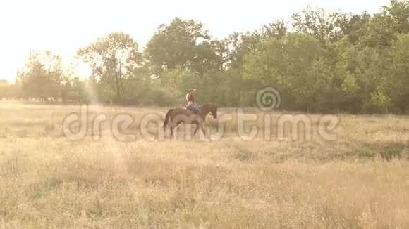 年轻女孩在乡下骑马视频的预览图