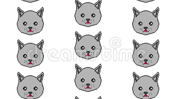 像素猫用眼睛移动在白色背景上显示舌头准备在任何项目中使用视频的预览图