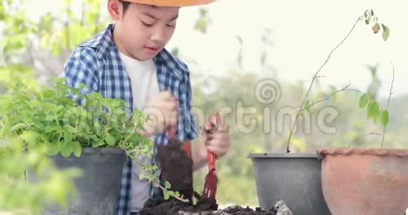 年轻的亚洲泰国男孩准备黑土在花园里种植视频的预览图