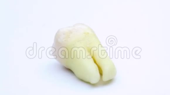 人类牙齿在白色背景上旋转视频的预览图